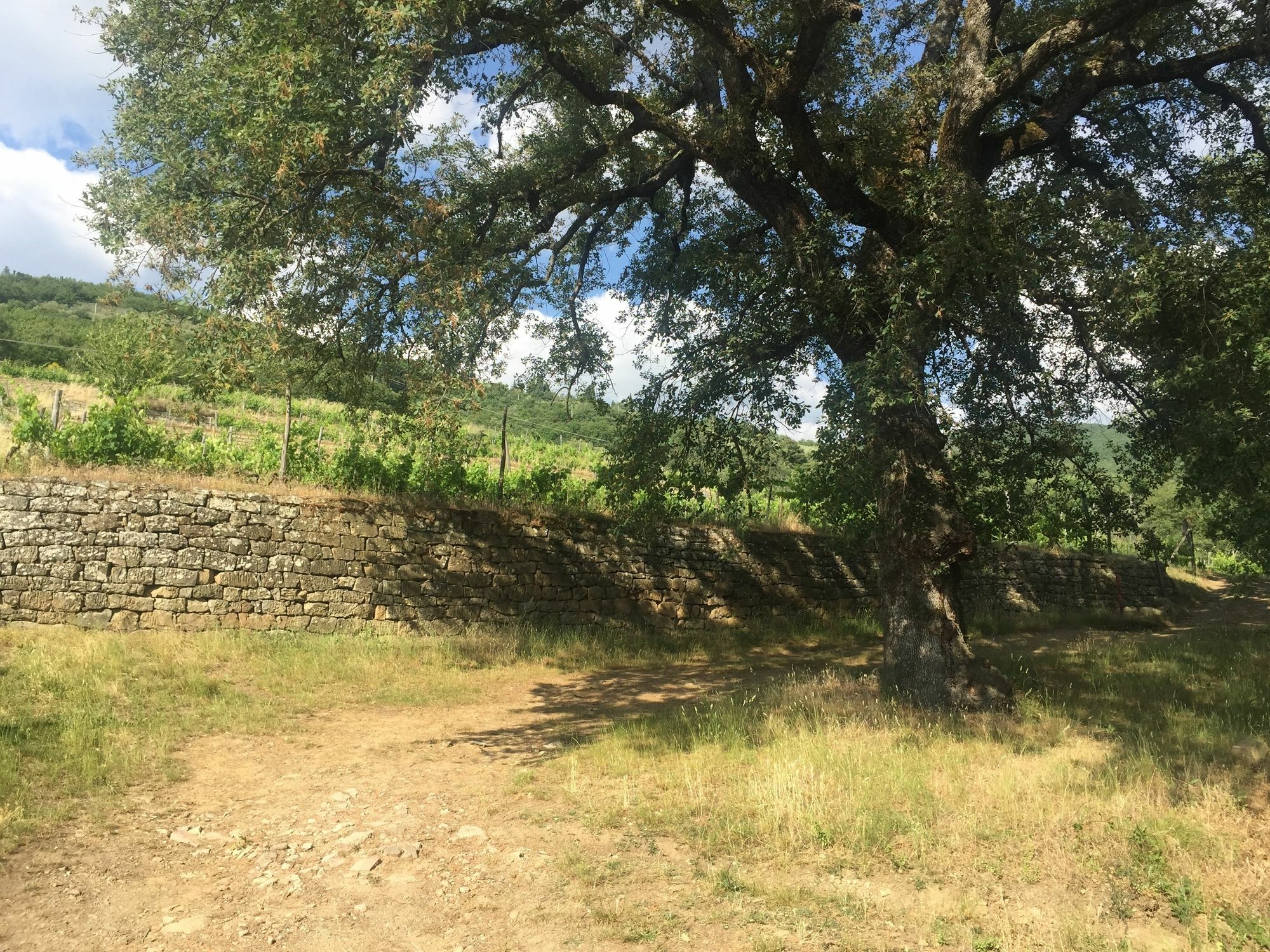 Villa La Grotta San Giustino Valdarno Exteriör bild